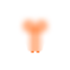 w developer icon 1